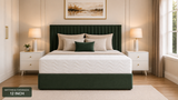 12" Foam Mattress